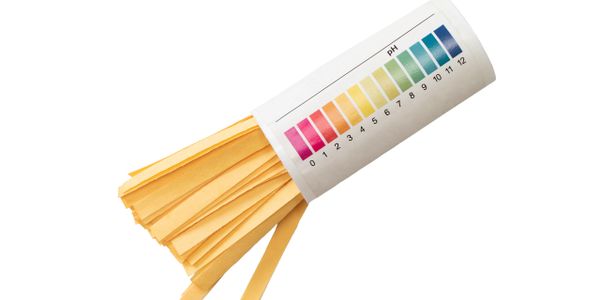 Container of yellow pH test strips with a pH color chart on the label.