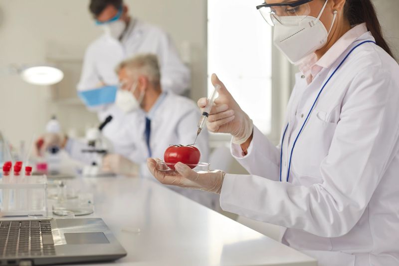 Serious female genetic scientist in white coat, protective goggles and face mask doing innovative research in food laboratory, developing GMO or pesticides and injecting tomato with chemical additive