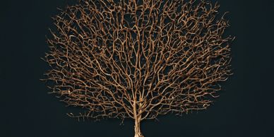 Open book with branches growing out, symbolizing knowledge and growth.