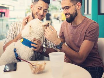 Two men happily petting a white dog at a café table.