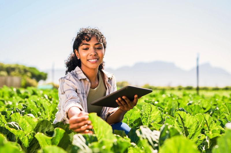 Monitoring her crops closely for better yield