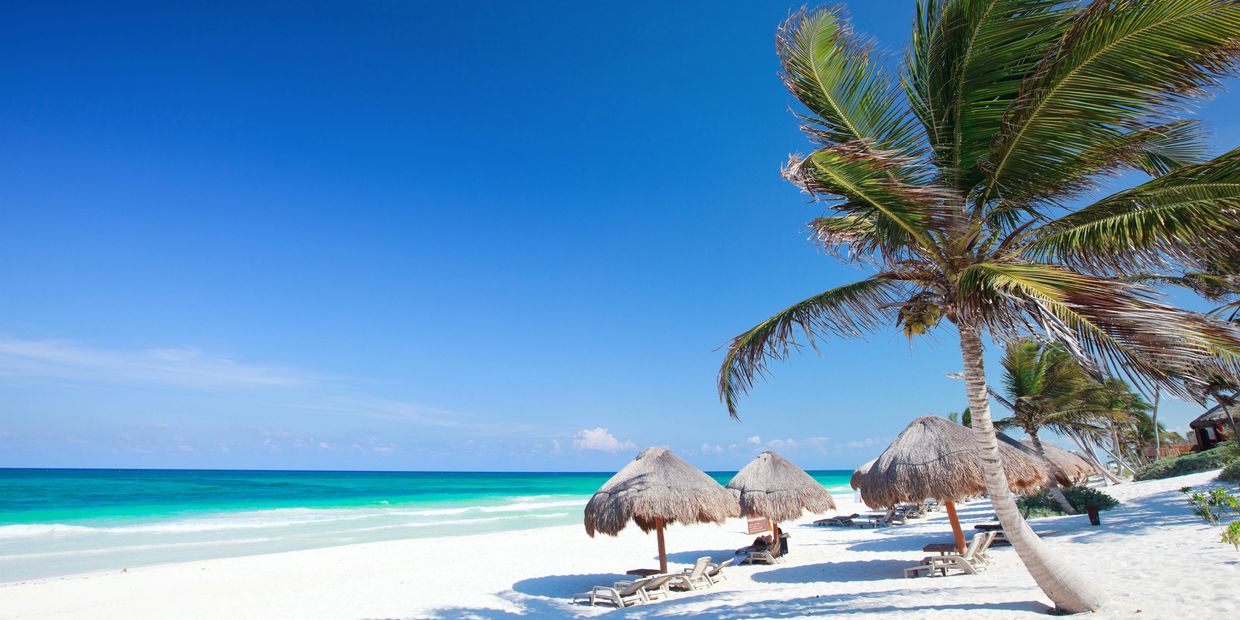 Sunny beach with palm trees and thatched umbrellas by turquoise ocean.
