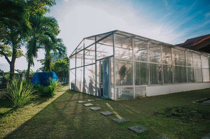exterior greenhouse Hydroponic Vertical Farm Eco system in morning rows of seedlings of various sorts of garden vegetables growing on shelves of vertical farm