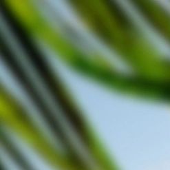 At Harmony Healthcare and Wellness, we specialize in medical weight loss using GLP-1 medications lik