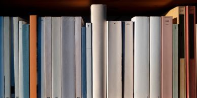 Books with blank or faded spines on a shelf.