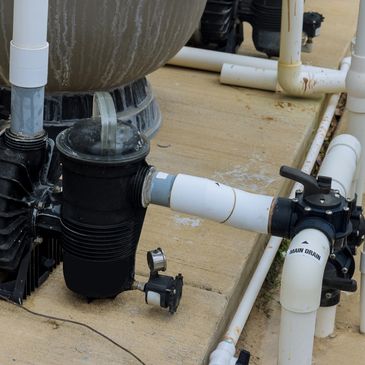 pool pump and pool filter