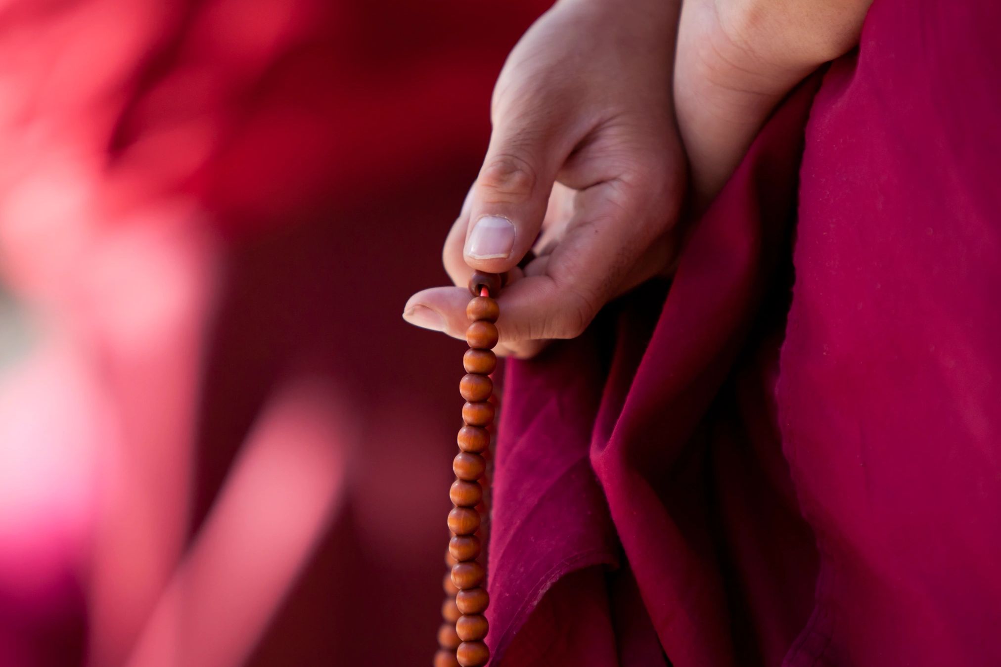 为面临迫害者提供保护申请