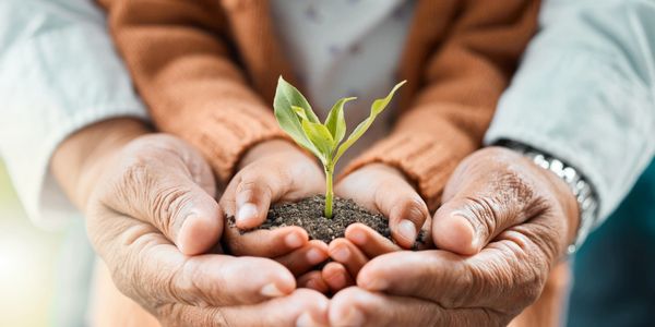Older person cupping hands around a younger person's cupped hands holding dirt & plant in hands