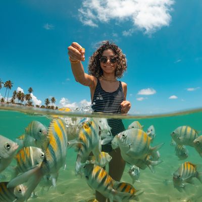 Woman feeding colorful fish in clear tropical water under a bright blue sky.