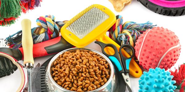 Pet grooming tools and toys surrounding a bowl of dry pet food.