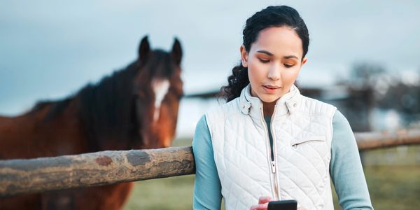 Everyday Equine Product to male your life easier Everyday. 