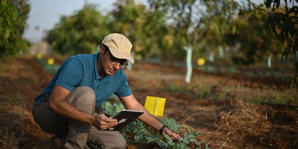 A man using a tablet to inspect crops in a farm field.