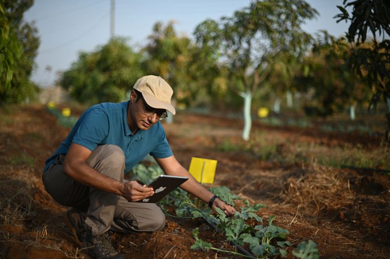 Man farmer using digital tablet in a farm while inspecting crops