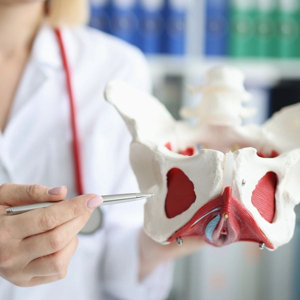 Doctor showing pelvic anatomy model with a pen.
