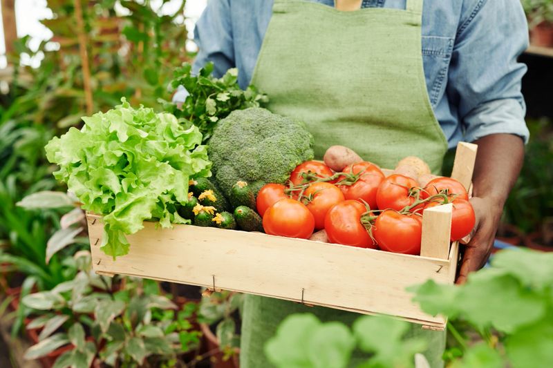 Holding Box With Vegetables