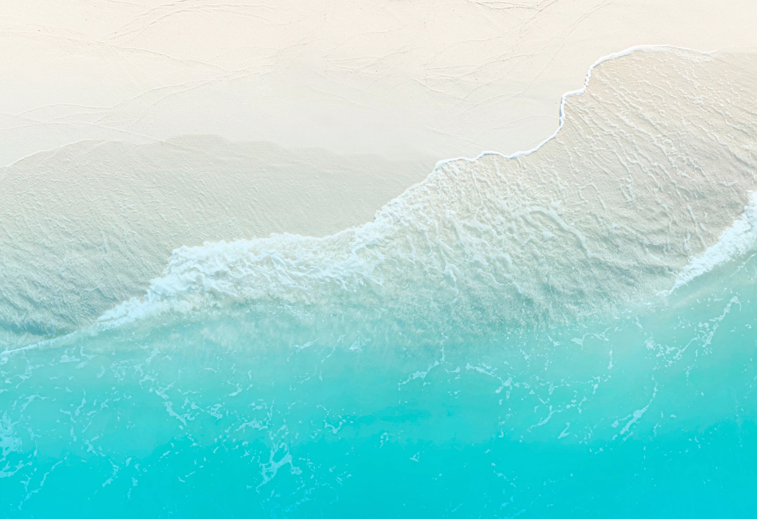 Caribbean Weeks and Beyond