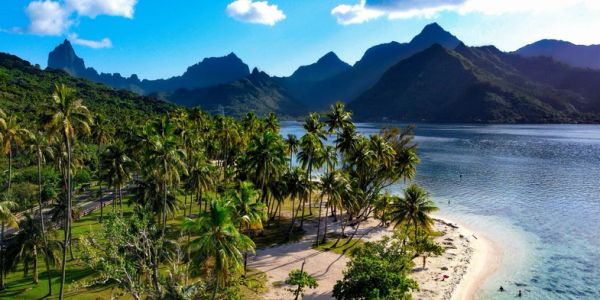 Tropical beach with palm trees and mountains.