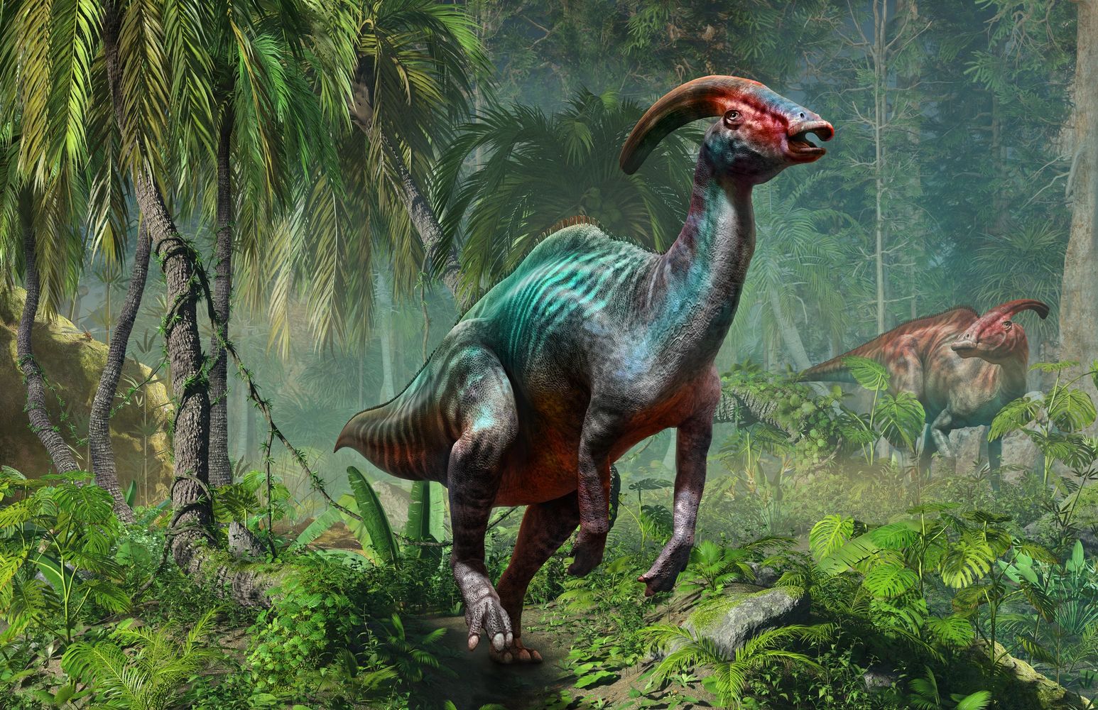 Dinosaurs in jungle scene