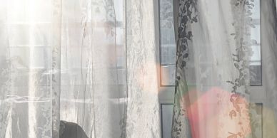 Sheer curtains hang in front of a window with sunlight filtering through.