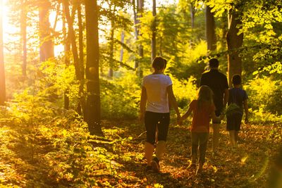 Family walking together through sunlit forest. Represents connection, support and healing at Changes 