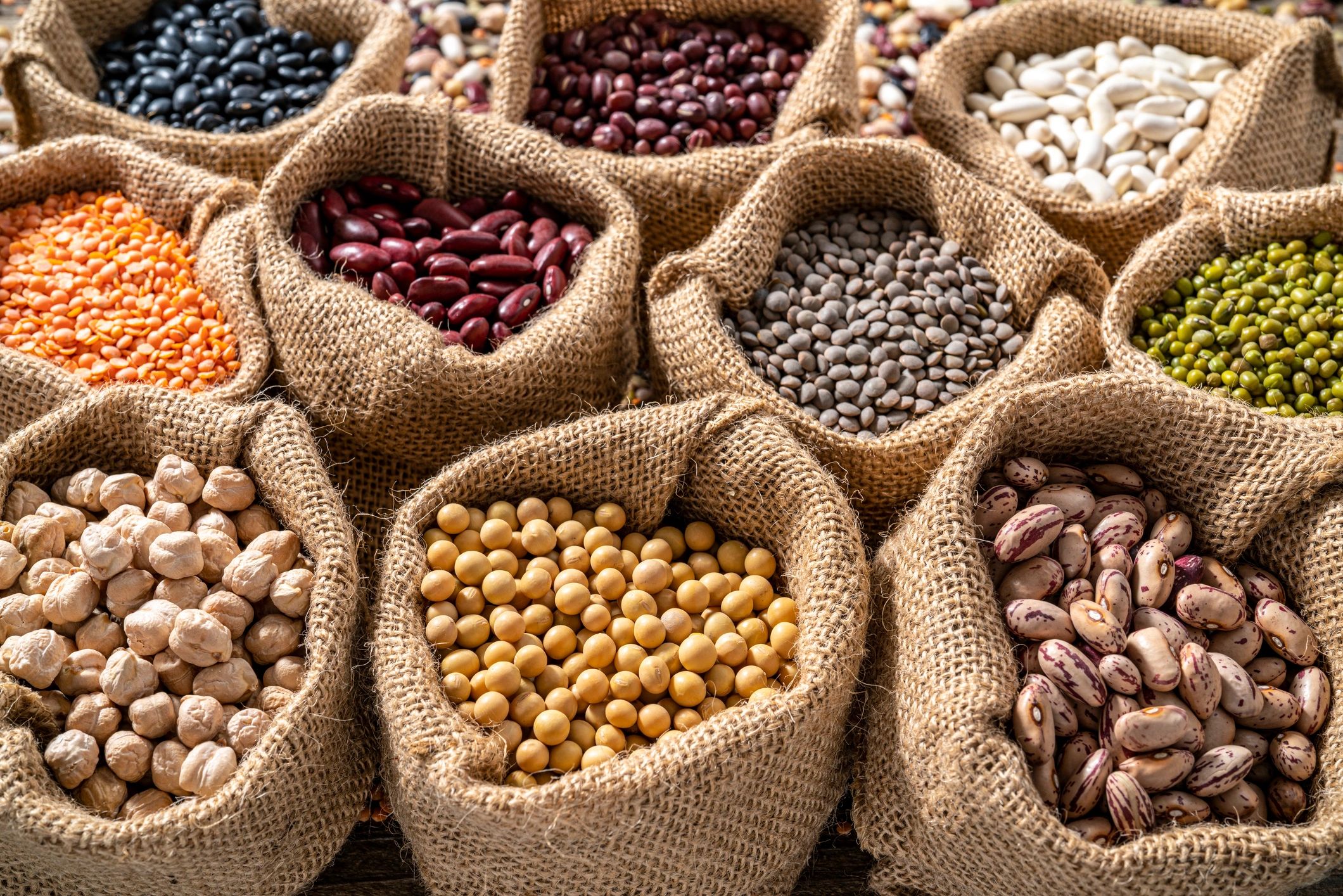 Assorted dry beans, lentils and peas displayed in open burlap sacks.