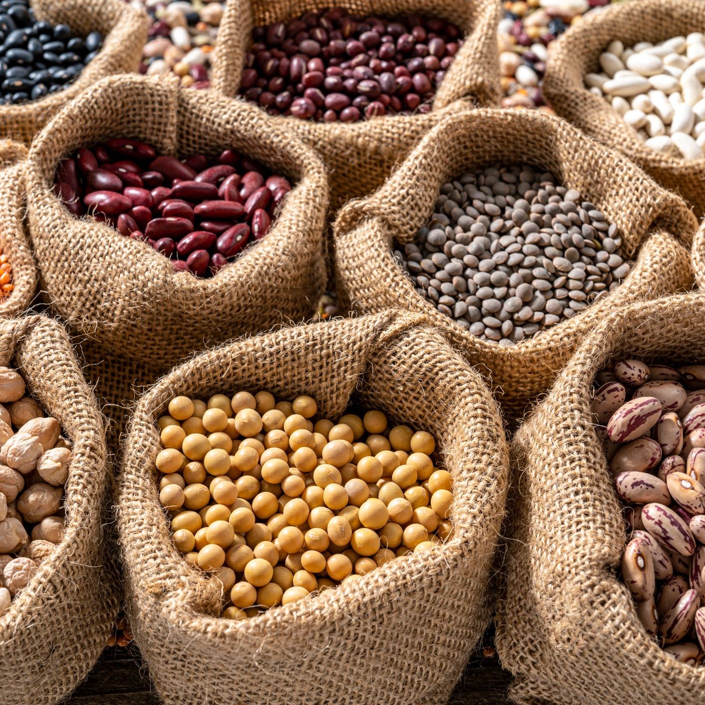 Various colorful dried beans and lentils in burlap sacks.