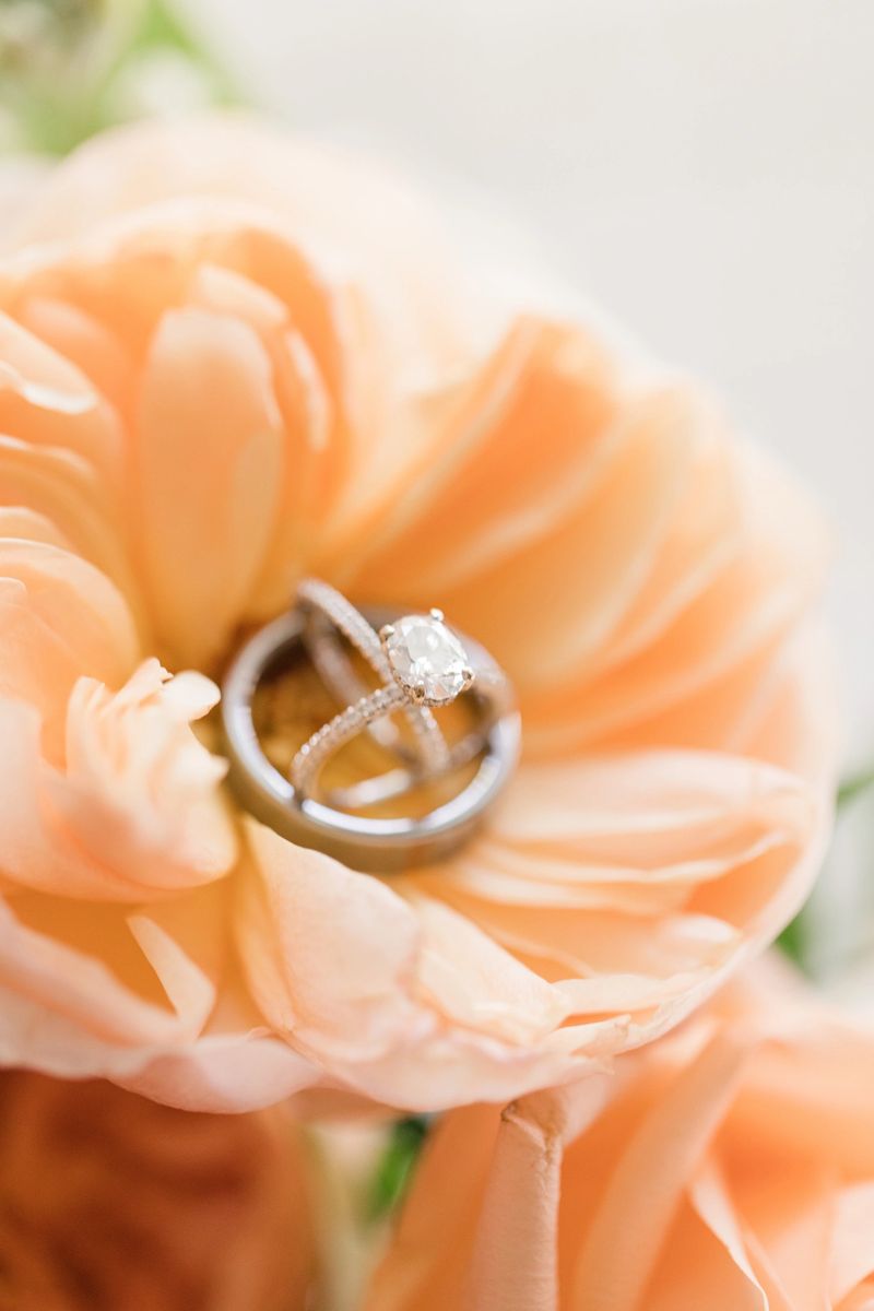 White Gold Diamond Wedding Rings in a Colorful Orange Spring Flower in Bright Natural Light.