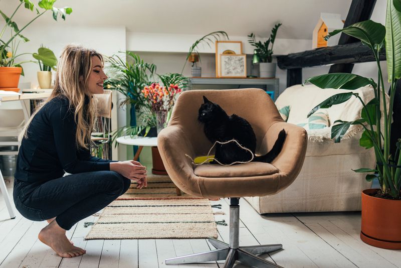 A cheerful Caucasian businesswoman squatting while watching her kitty sitting on her chair  in the living room.