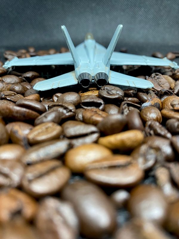 Toy jet airplane on a bed of coffee beans.