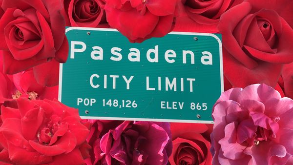 Pasadena city limit sign surrounded by vibrant red and pink roses.