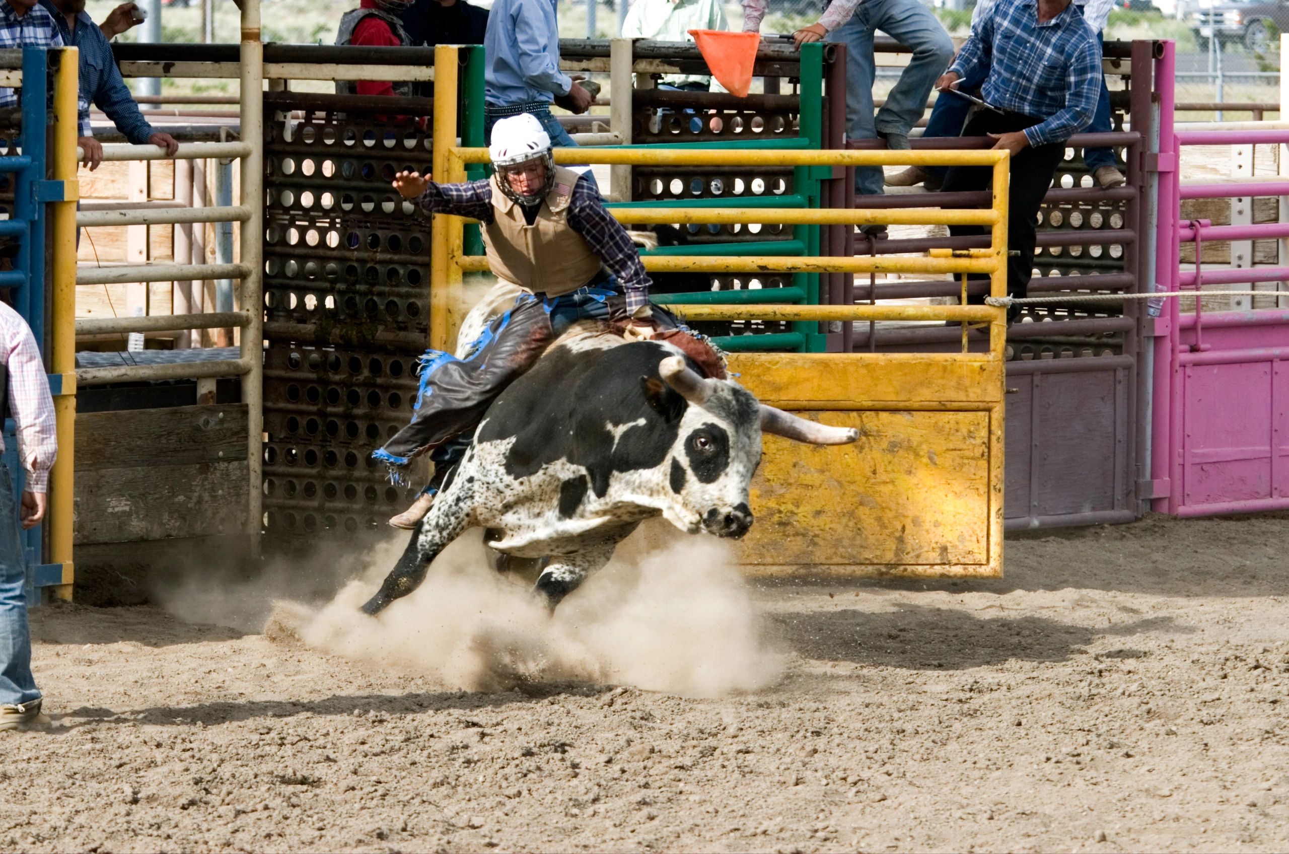 Premium Bull Riding Spurs for Every Rider