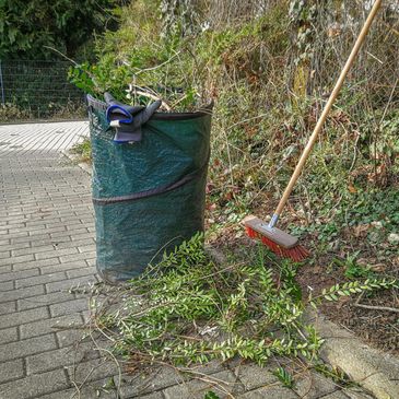 Property Cleanup by The Elite Group in Coral Springs, Florida