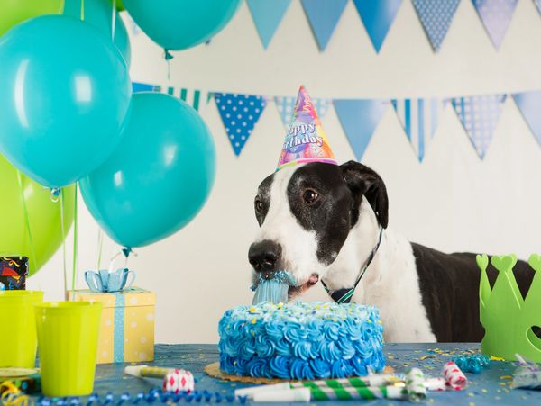 special add-on experiance