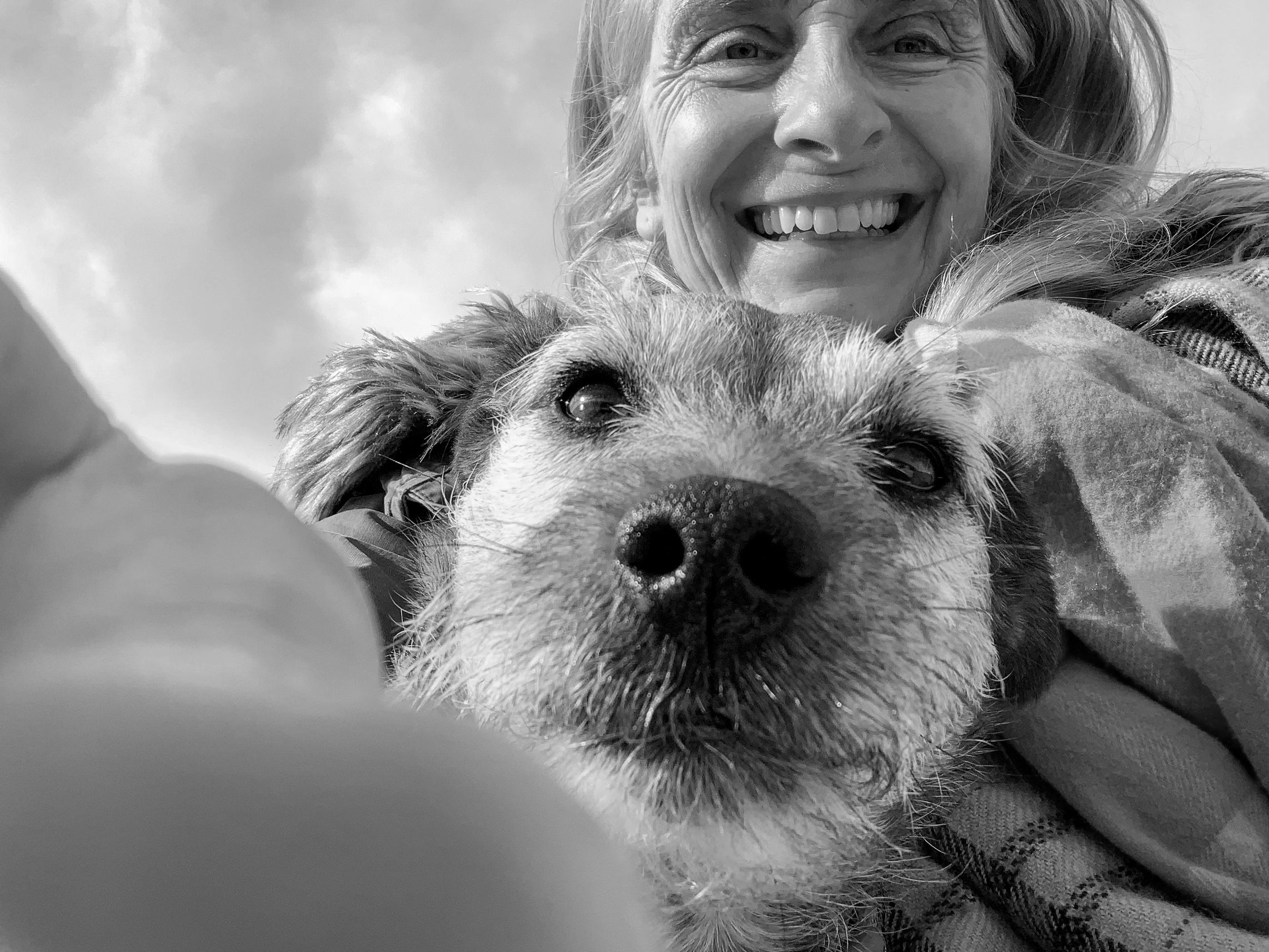 Pet Cremation Services in Austin TX