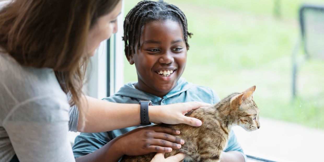 Child and adult petting a cat by the window.