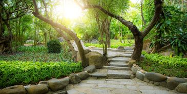 Charming stone pathway illuminated by garden lanterns and vibrant flowers.