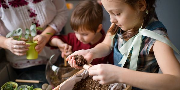 Children and an adult planting seedlings and soil together indoors.