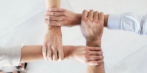 collaboration 