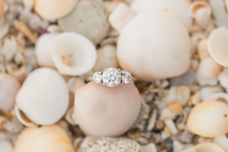 Diamond Engagement Ring Surround by Seashells in Bright Natural Light