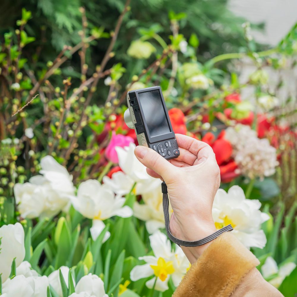 Hand holding a digital camera among colorful flowers in a garden.