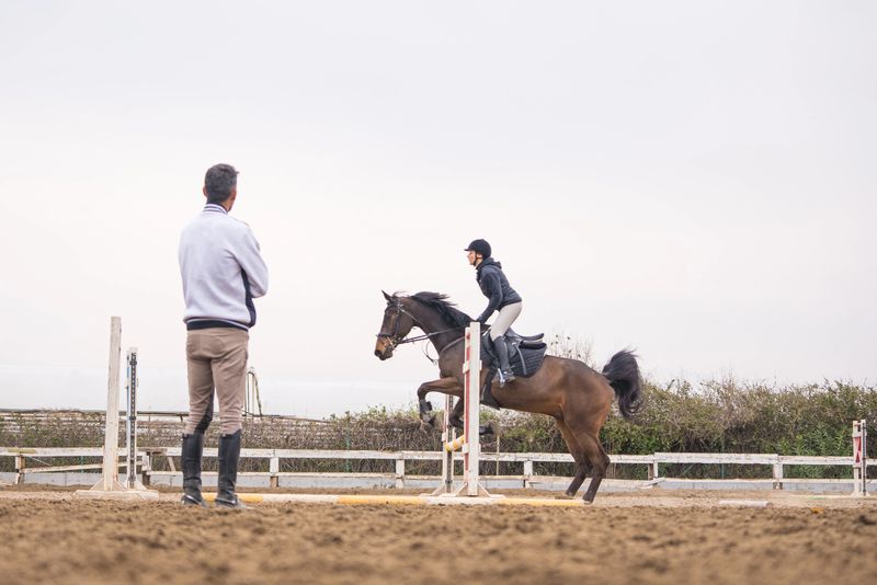 horse with a female rider jumping over a double hurdle. The photo shows the moment when the horse passes over the hurdle. The female rider is raised in the saddle and leaning forward while the horse prances. The rider and the horse seem coordinated and synchronized. In the background is the cloudy sky .