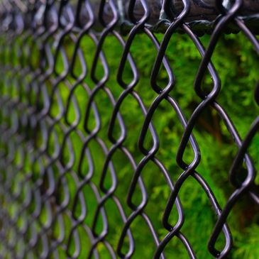 Close-up of a black chain-link fence with green foliage behind it.