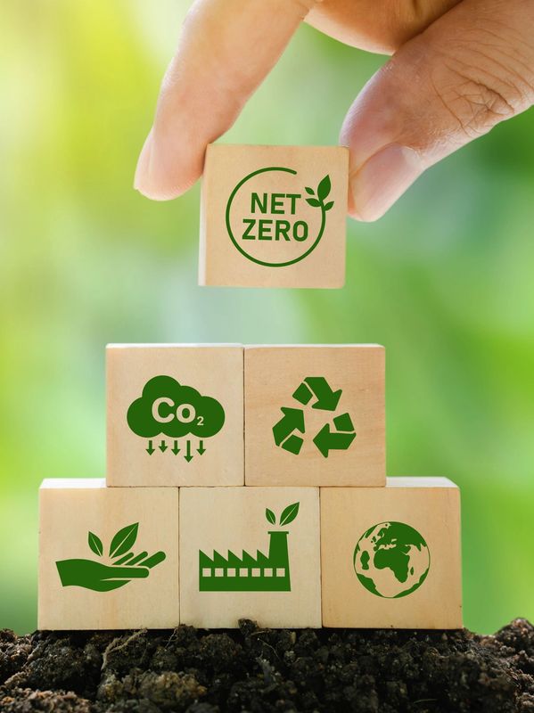 Hand stacking wooden blocks with environmental icons and 'Net Zero' text.