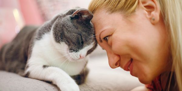 A woman and a cat gently touching foreheads, sharing a tender moment.