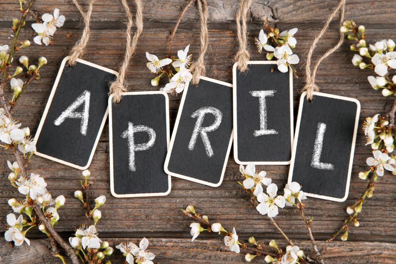 Black small chalkboards hanging on a rope on wooden background and  spring blossom