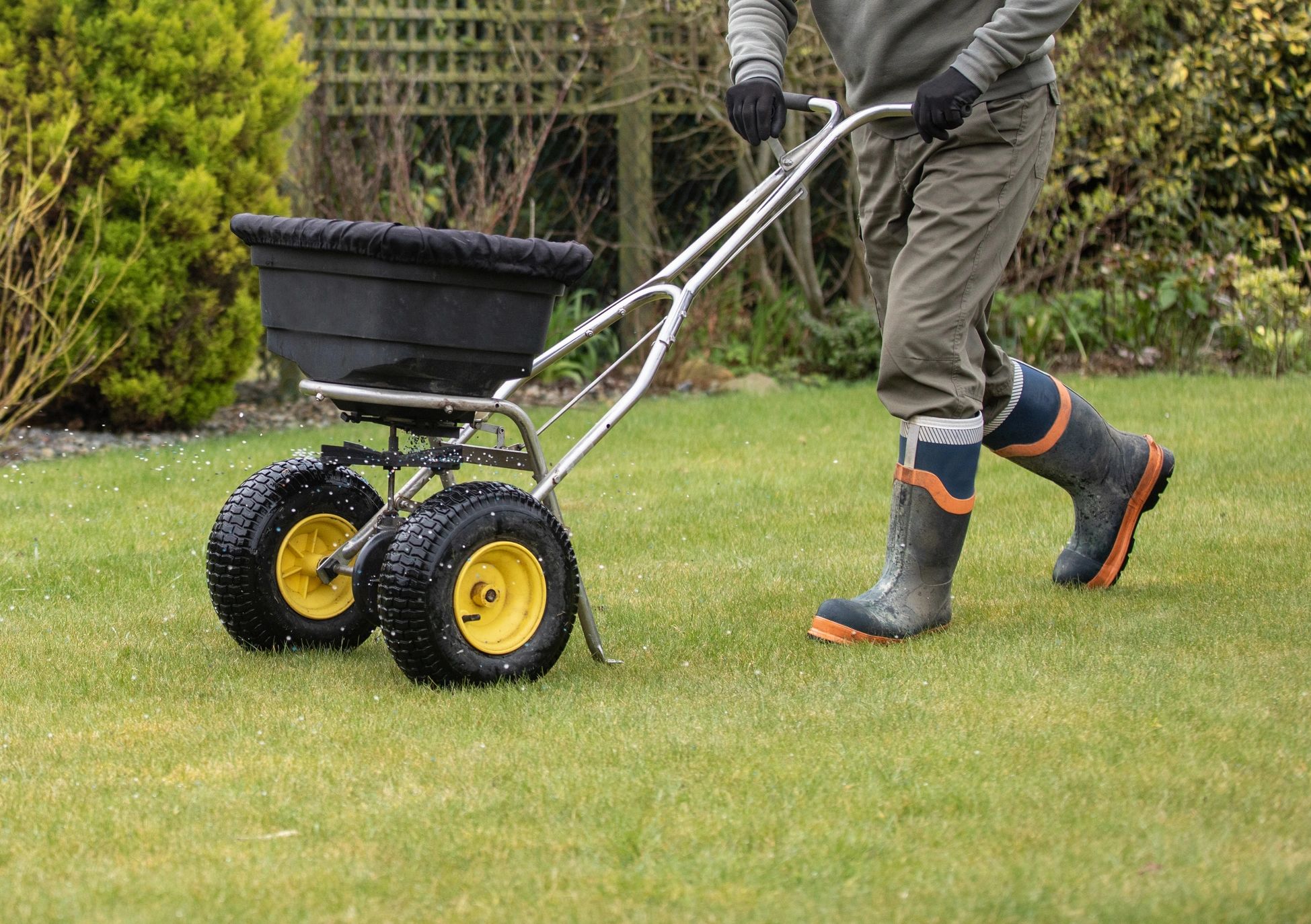 Lawn fertilization service in Lexington, KY improving grass color, thickness, and healthy growth.