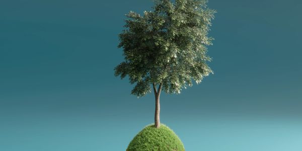 Tree growing from a grassy mound on stacked gold coins symbolizing financial growth.