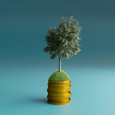 Tree growing from a grassy mound on stacked gold coins symbolizing financial growth.