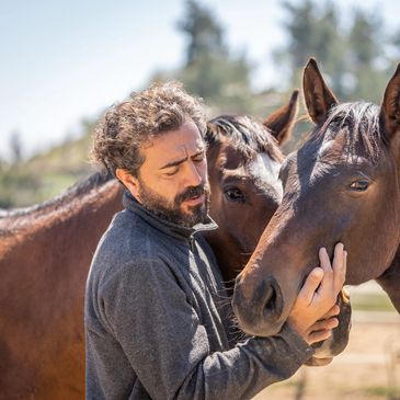 Man gently caressing two horses outdoors in a peaceful setting.