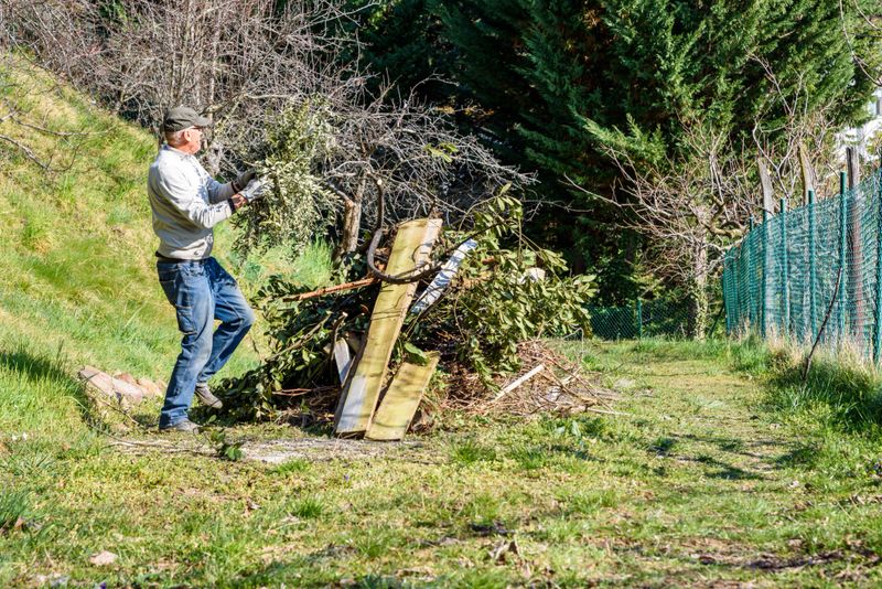 Man in Garden Preparing Branches for Bonfire, Cleaning for Spring